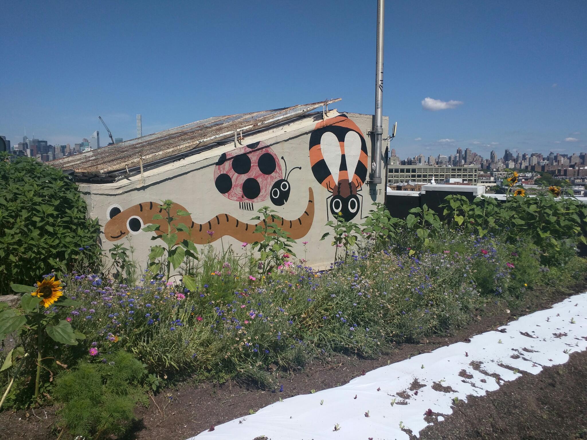 Brooklyn Grange rooftop mosaic