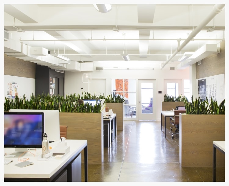 Open area with plant wall partitions